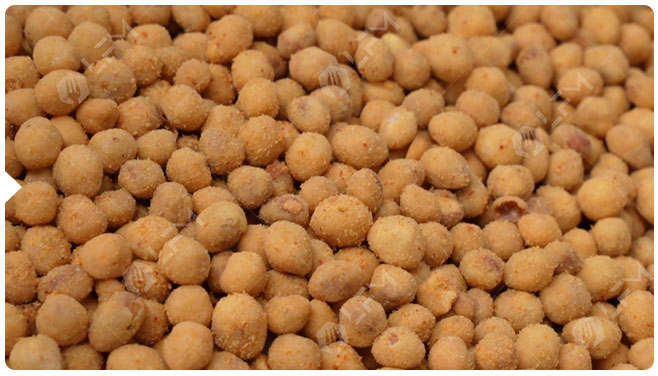 2 Coated Peanut Production Line.jpg